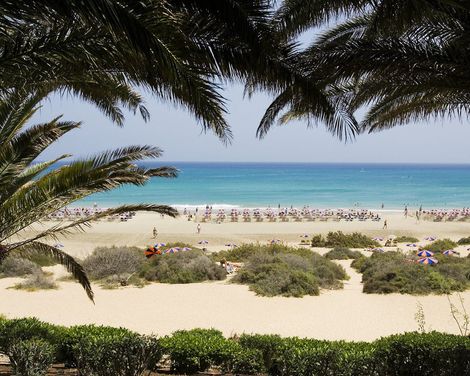 SBH Monica Beach Resort-0