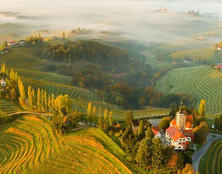 Eine Landschaft mit Weinbergen und einem Dorf auf einem Hügel.