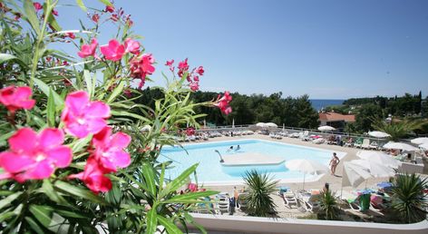 Hotel Albatros Plava Laguna