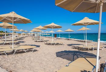 Hotel, Horizon Beach Resort