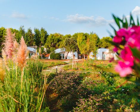 Torre Cintola Greenblue Sea Emotions-4