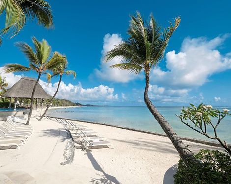 Ambre Mauritius-1