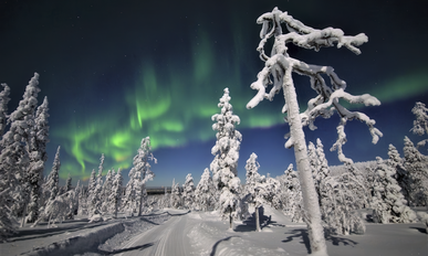 Lapplands legendären Nordlichtern auf der Spur