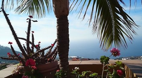 Apartamentos Estrella del Norte