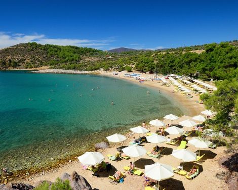 Royal Paradise Beach Resort & Spa-1