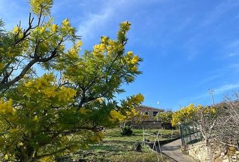 Hotel, Agriturismo Le Mimose
