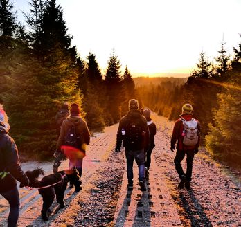 Dem Sonnenuntergang entgegen geht eine Gruppe Menschen mit Hund