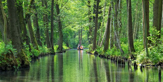 Eine idyllische Flusslandschaft im Spreewald Biosphärenreservat, wo ein schmaler Wasserweg von dicht bewachsenen Ufern und traditionellen Häusern gesäumt wird.