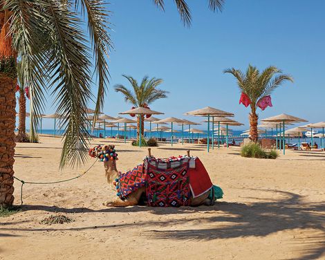 Three Corners Sunny Beach Resort-1