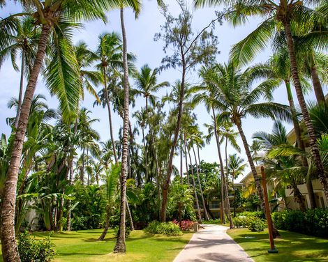 Impressive Punta Cana-4