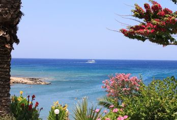 Crystal Springs Beach Hotel