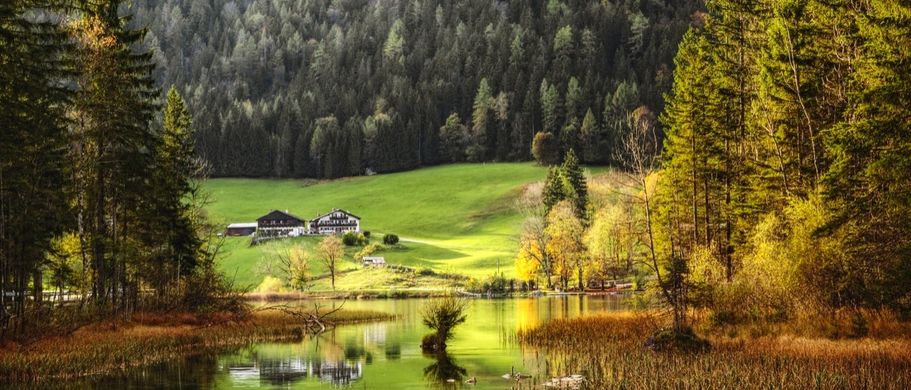Bayerischer Wald