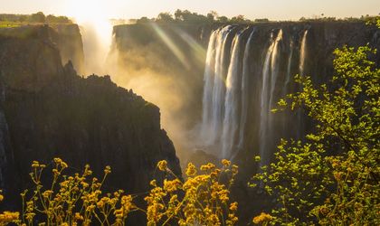 Victoria Faelle