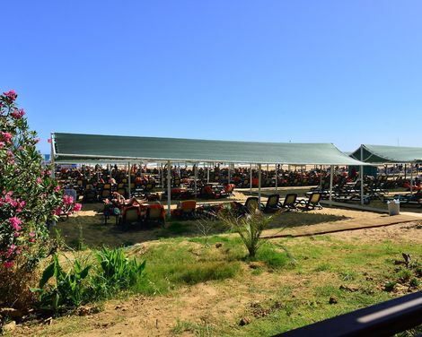 Side Crown Serenity-2