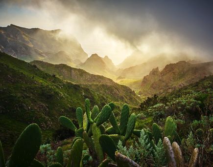 Eine grüne Berglandschaft mit einem Tal.