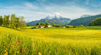 Ferienwohnungen Schweiz