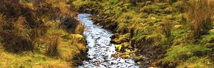 Ein Fluss, der sich durch eine grüne Landschaft schlängelt. Die Szene ist friedlich und natürlich.