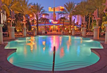 Hotel, Flamingo Las Vegas Hotel & Casino