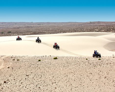 Occidental Boa Vista Beach-4