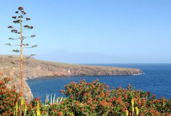 Hotel, Hotel Jardin Tecina