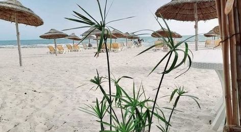 Zenon Hotel Djerba