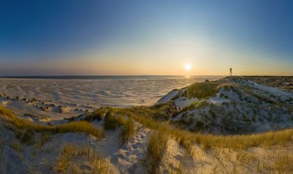 Eine Dünenlandschaft mit grünen Pflanzen dazwischen. Sonnenunterg, blauer Himmel.