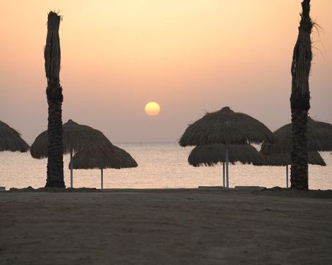 Sentido Reef Oasis Suakin-2