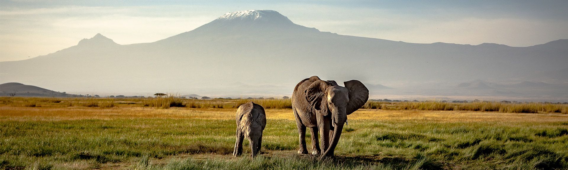 Kenia