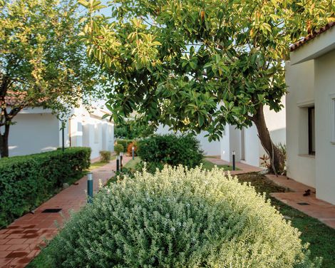 Fior di Sardegna Resort-3