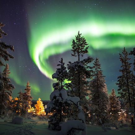 Polarlichter über dem verschneiten Wald in Finnland