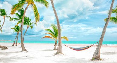 Ein tropischer Strand mit Palmen und Liegestühlen.