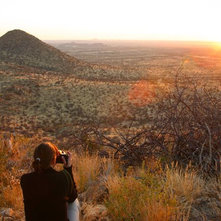 Glamping Afrika Reise Urlaub Namibia Abendlicher Blick in den Etosha Nationalpark