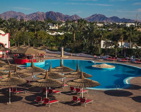 Domina Coral Bay Oasis-4