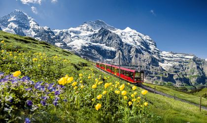Zug fährt durch eine bergige Landschaft mit grüner Natur