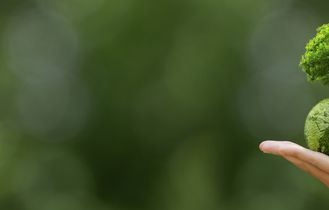 Frau hält kleine grüne Weltkugel mit BAum in der Hand