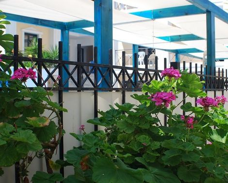 Renia Hotel-3