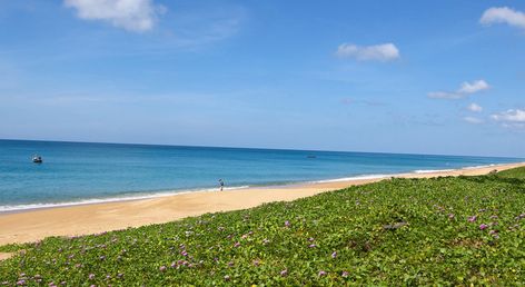 Maikhao Palm Beach Resort