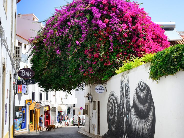 Eine Straße in einer Stadt mit bunten Blumen, die von einem Gebäude hängen.