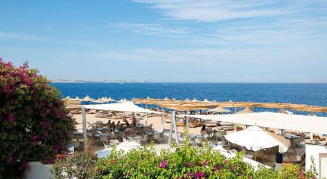 Amphoras Blu