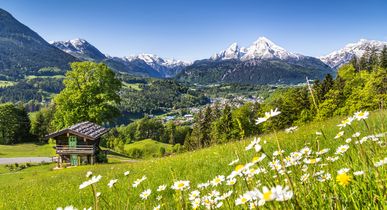 Tiroler Alpen mit grüner Natur