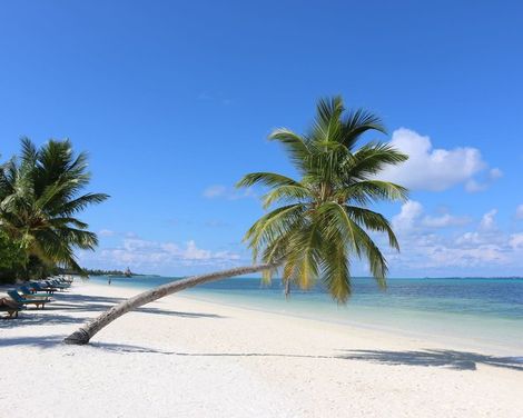 Canareef Resort Maldives-3