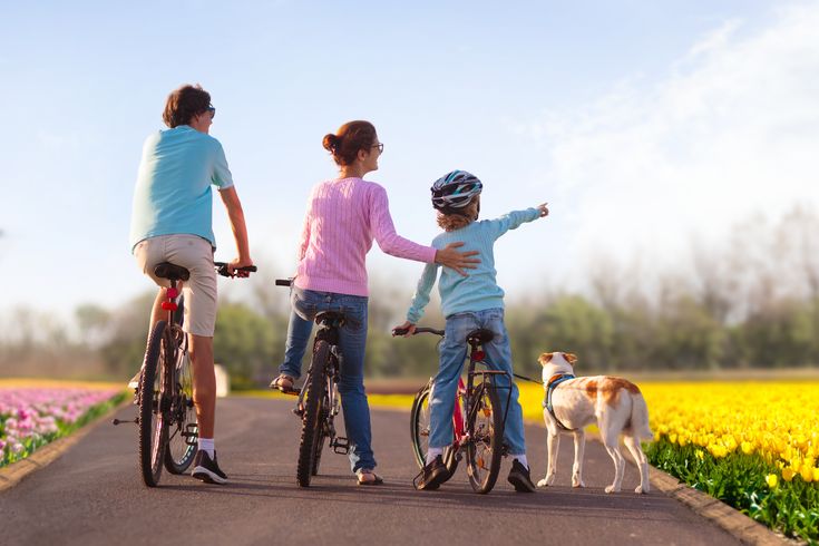 Eine Gruppe von Menschen, die vor einer Windmühle und Tulpenfeldern stehen.