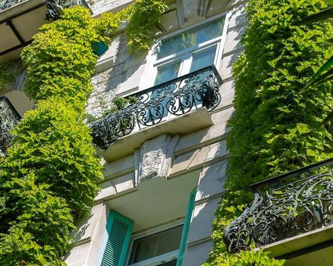 Le Windsor, Jungle Art Hotel-1