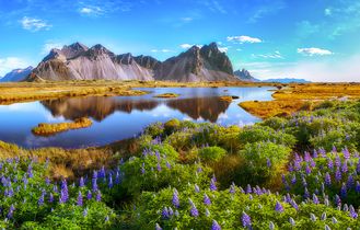 Sonniger Tag in Island. Man schaut auf einen Berg, davor eine schön bewachsene Naturlandschaft