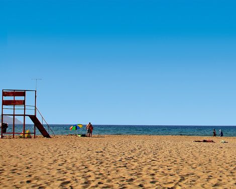 Vardis Olive Garden-0