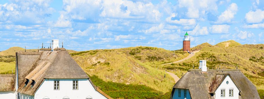 Ein Strand mit Häusern und Dünen.