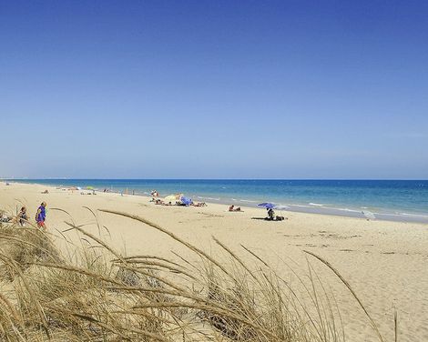 Golden Club Cabanas-2