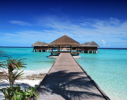 Ein Holzsteg welcher zu 3 Wasserbungalows auf den Malediven führt, inmitten des türkis-blauen Wassers. Palmenzweig am Steg.