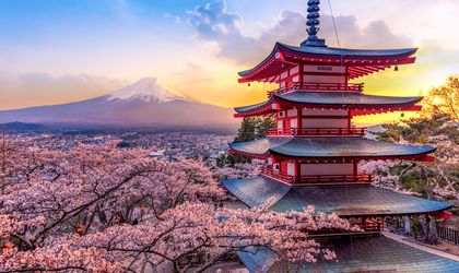 Blick auf einen japanischen Tempel