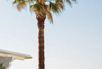 Hotel, Hotel Pedraladda